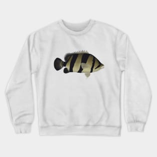 Siamese Tiger Fish Crewneck Sweatshirt